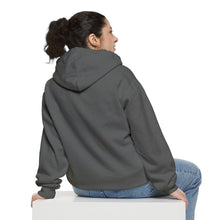 Load image into Gallery viewer, Lion Art Courage Doesn't Always Roar Unisex Garment-Dyed Comfort Hoodie - RELAXED FIT - 3 Colors