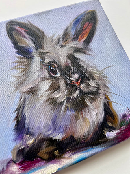 Original Oil Painting of Clara Bunny Rabbit ORIGINAL Art 8”x8” • Free Shipping