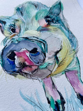 Load image into Gallery viewer, Goosepond Mountain Sanctuary Moe’s Portrait - multiple sizes Allie for the Soul