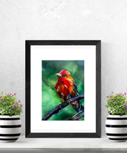 Load image into Gallery viewer, Keep Your Flame Bird Art PAPER Giclee PRINT Multiple Sizes