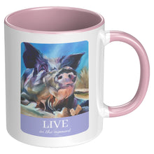 Load image into Gallery viewer, Sweet Aaron, Live for the Moment Mug, 2 Colors Blue or Pink