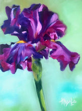 Load image into Gallery viewer, Purple Iris Flower Fine Art Print STOCK PRINT SALE