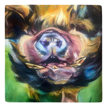 Load image into Gallery viewer, petey pig rescue pig painting arthur's acres animal sanctuary allison luci