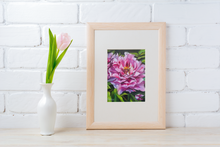 Load image into Gallery viewer, Live Life in Full Bloom - Peony Oil Painting Print on Paper PRINT STOCK SALE