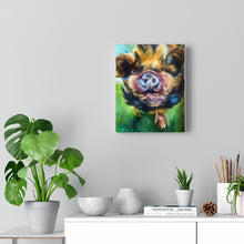 Load image into Gallery viewer, Petey Pig Portrait CANVAS Print (Gallery Wrapped)