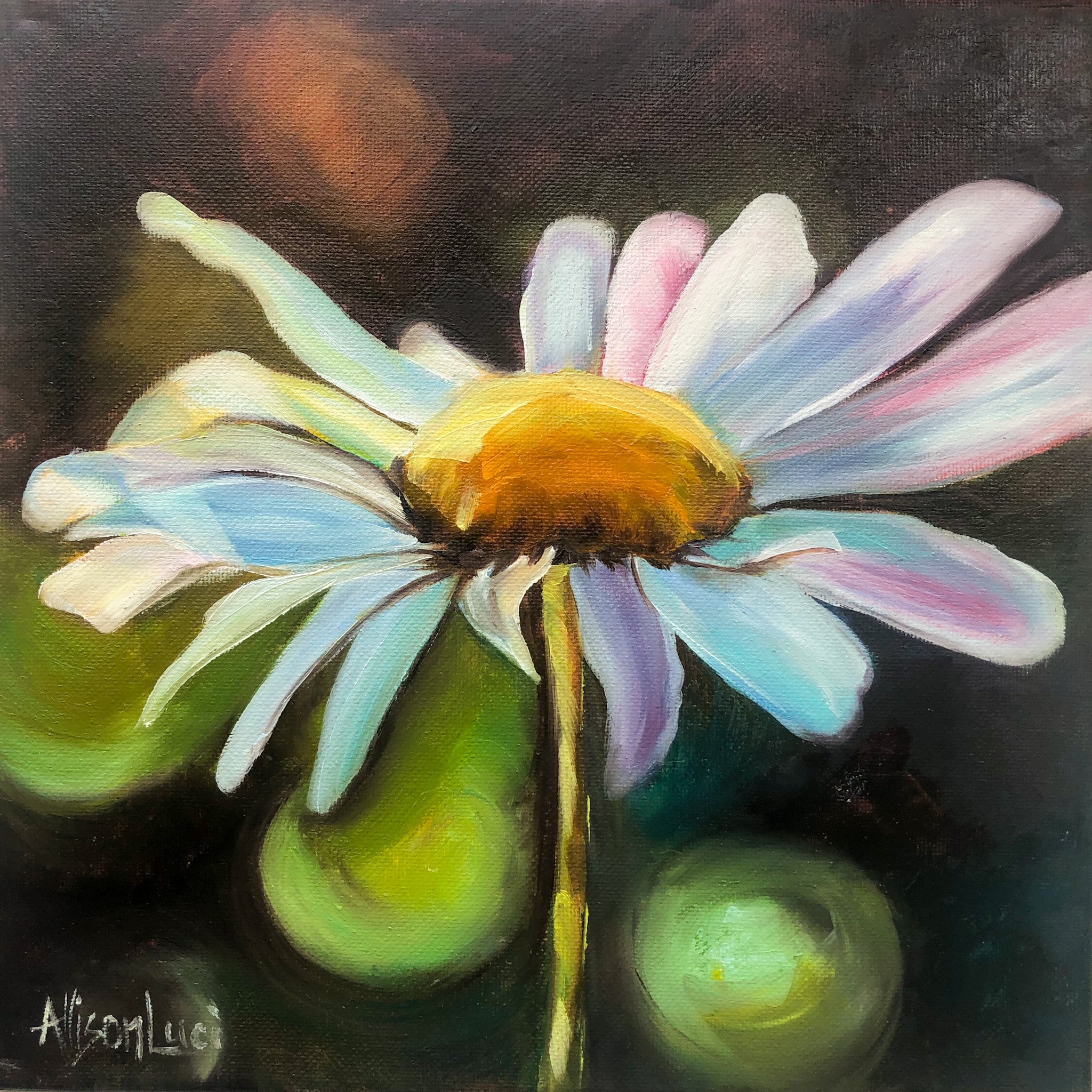 Daisy Painting with Oils