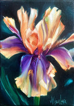 Load image into Gallery viewer, Peach Jam Iris Painting 5&quot; x 7&quot; Oil on Canvas
