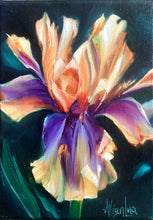 Load image into Gallery viewer, Peach Jam Iris Painting 5" x 7" Oil on Canvas