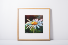 Load image into Gallery viewer, Happy Heart Daisy Flower Fine Art Print