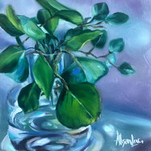 Load image into Gallery viewer, Pilea Plant, Chinese Money Plant Fine Art Print