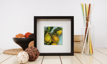 Load image into Gallery viewer, Lemon Art You Are my Sunshine Giclee Paper Print