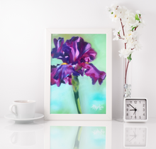 Load image into Gallery viewer, Purple Iris Flower Fine Art Print