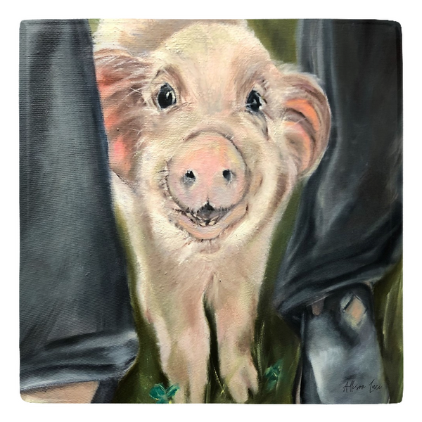 Magnet baby Max from Arthur's Acres Animal Sanctuary painting Allison Luci Art