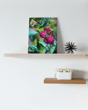 Load image into Gallery viewer, Raspberries "Grateful Heart" Gallery Wrapped CANVAS Print