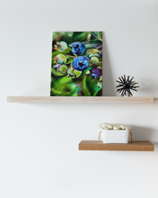 Load image into Gallery viewer, Blueberry Girl Blueberries Gallery Wrapped CANVAS Print