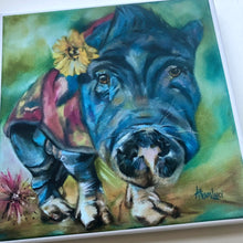 Load image into Gallery viewer, Piggie Portrait Grandma Lucy Canvas Print 8” x 8”