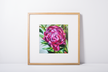 Load image into Gallery viewer, Friendship Blooms Peony Flower Giclee Paper Print Allison Luci Art