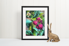 Load image into Gallery viewer, Blueberries & Raspberries ART SET of 2 Paper Prints