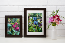 Load image into Gallery viewer, Blueberries & Raspberries ART SET of 2 Paper Prints