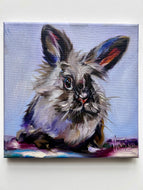 Original Oil Painting of Clara Bunny Rabbit ORIGINAL Art 8”x8” • Free Shipping