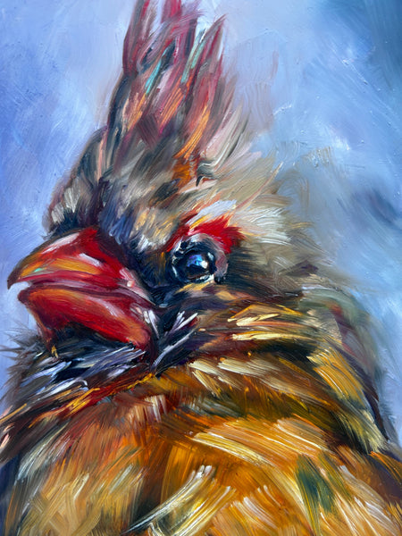 Cleo bird  Art Original Oil Painting 6" x 8"