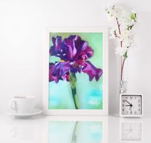 Load image into Gallery viewer, Purple Iris Flower Fine Art Print STOCK PRINT SALE
