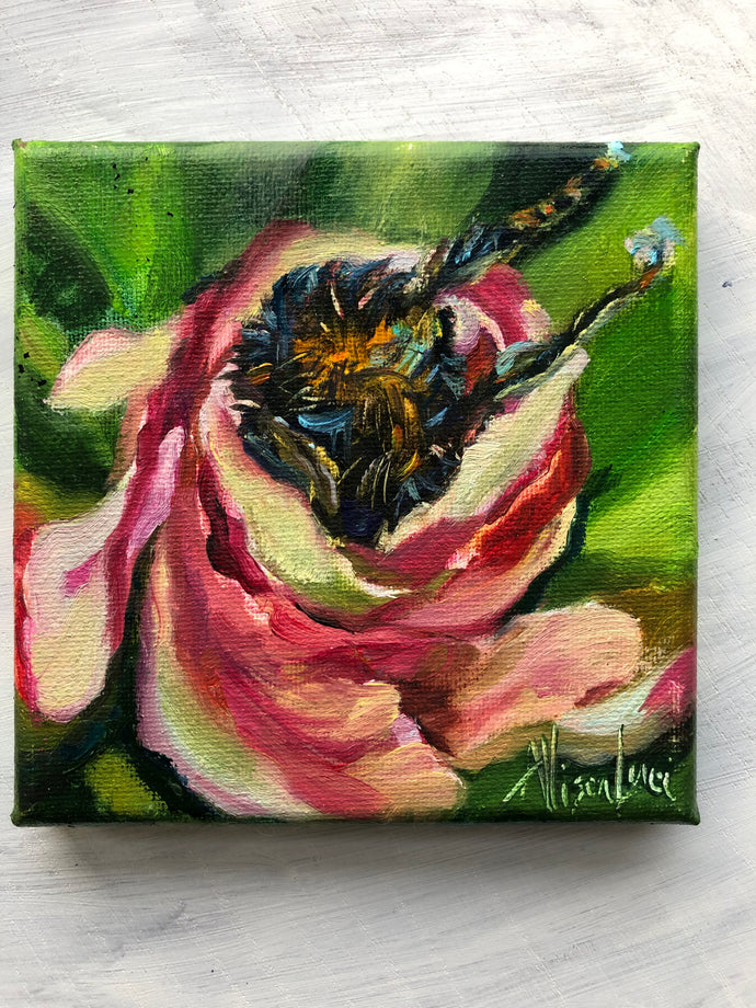 Sleeping Beauty Bee Butt in Rose Original Oil Painting 5” x 5”