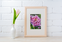 Load image into Gallery viewer, Live Life in Full Bloom - Peony Oil Painting Print on Paper PRINT STOCK SALE
