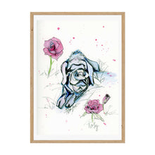 Load image into Gallery viewer, Art Prints, Individual or Set of 6 Sanctuary Babes from Odd Man Inn Animal Refuge
