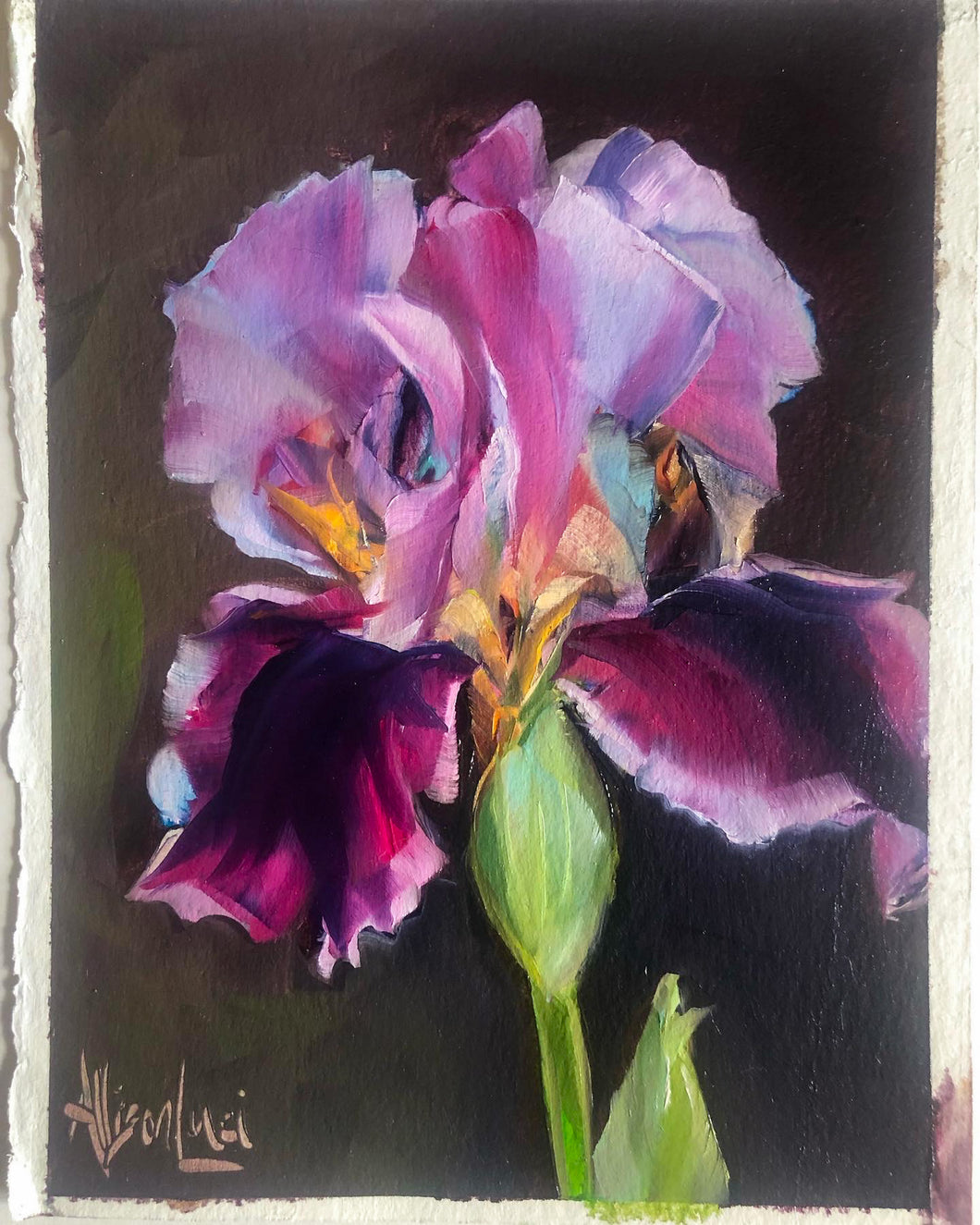 Pink Iris Painting 6