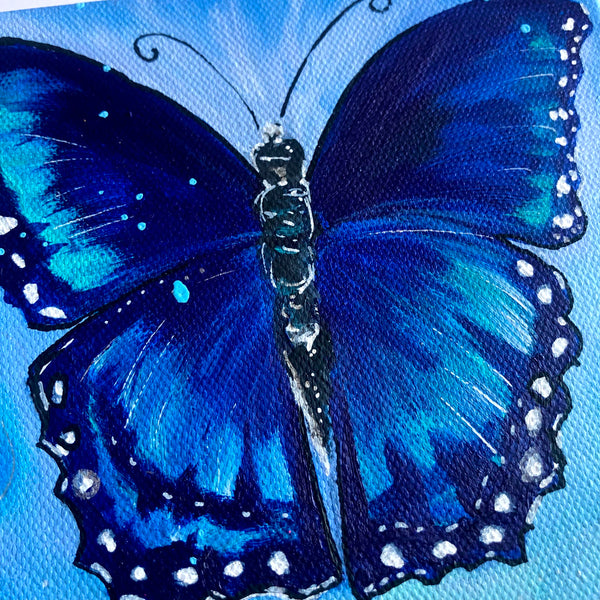 Blue Wings 6" x6" Butterfly Painting - Original - Butterfly Spring Collection
