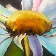 Load image into Gallery viewer, Daisy #6 Original Oil Painting 10&quot; x 10&quot; Square
