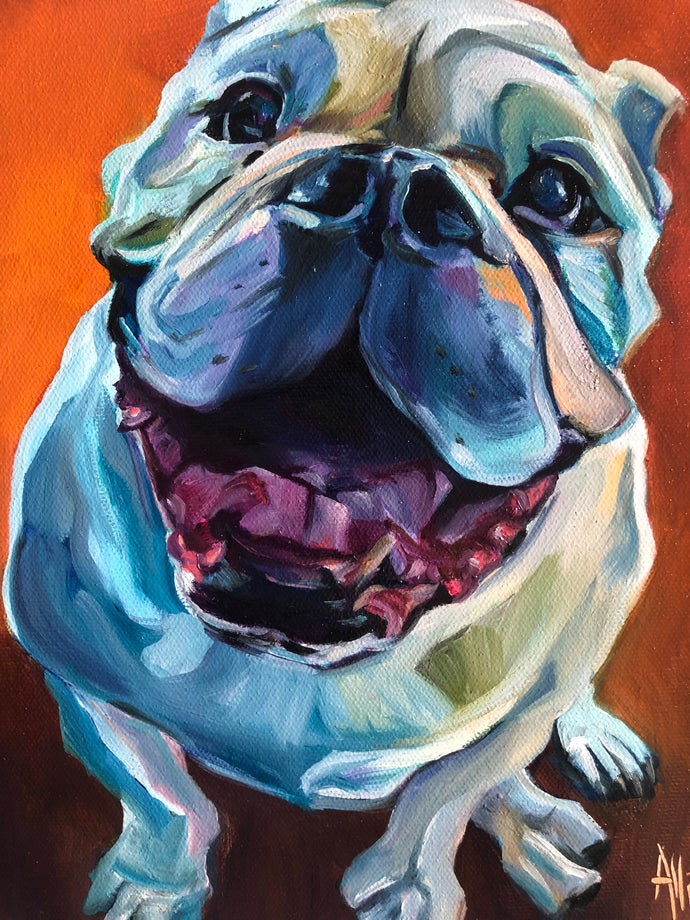 Pet Portrait Commission Painting - Multiple Sizes