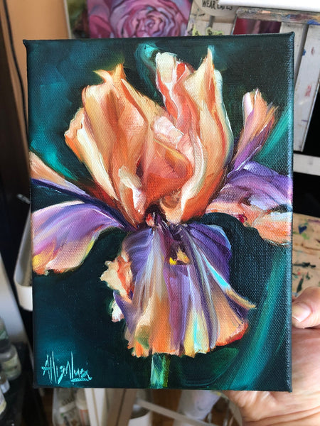 Peach Jam Iris Painting 6" x 8" Oil on Canvas