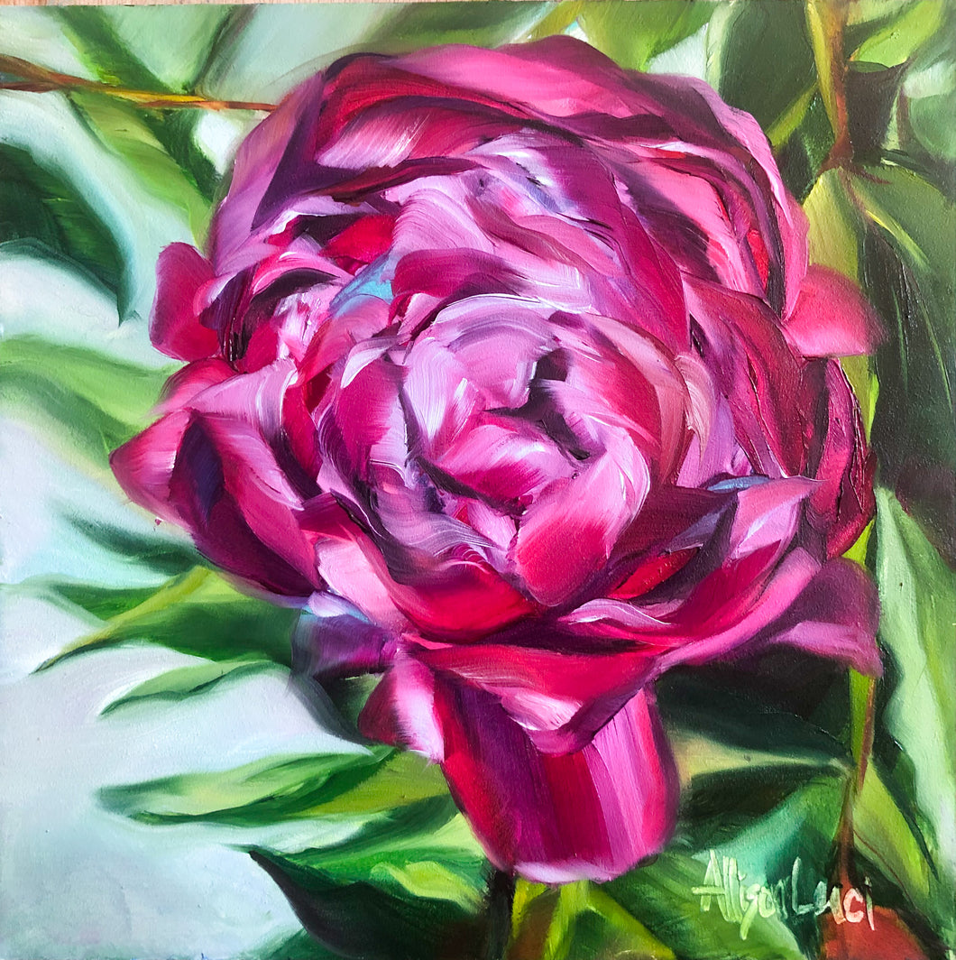 Friendship Blooms Peony Oil Painting 6 x 6