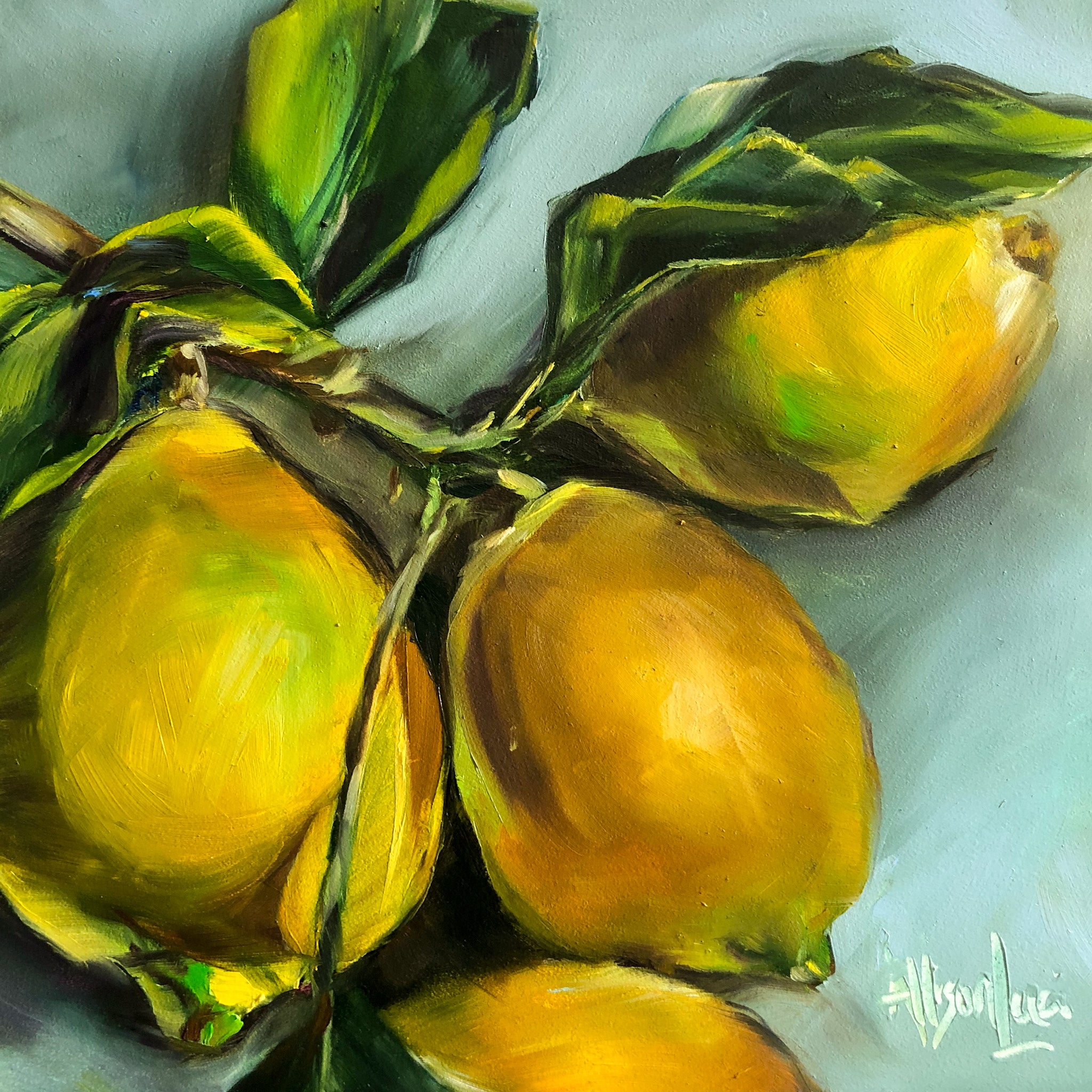 You are my Sunshine Lemons Oil Painting 6x6 Allison Luci Original Art ...