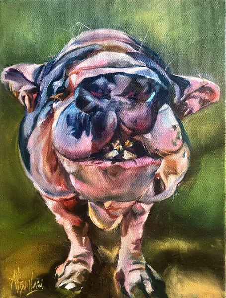 Jane Pig Painting Fine Art Paper Print Misfits of Oz Farm Sanctuary