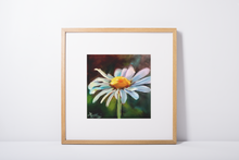 Load image into Gallery viewer, Happy Heart Daisy Flower Fine Art Print
