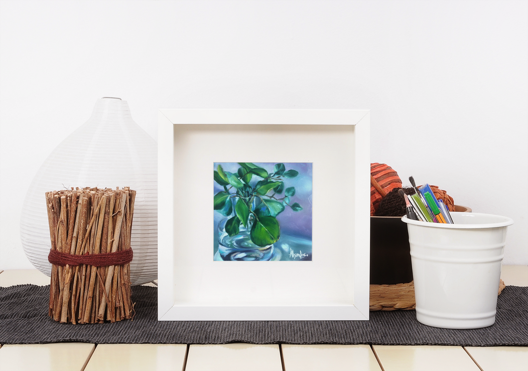 Pilea Plant, Chinese Money Plant Fine Art Print