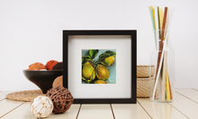 Load image into Gallery viewer, Lemon Art You Are my Sunshine Giclee Paper Print
