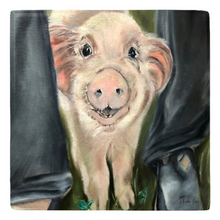 Load image into Gallery viewer, Magnet baby Max from Arthur&#39;s Acres Animal Sanctuary painting Allison Luci Art
