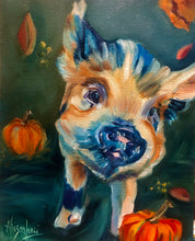 Load image into Gallery viewer, Mikey’s First Fall Pig Portrait on Gallery Wrapped CANVAS Print - Multiple Sizes
