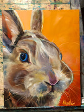 Load image into Gallery viewer, Bunny Portrait Original Oil Painting 8” x 10”
