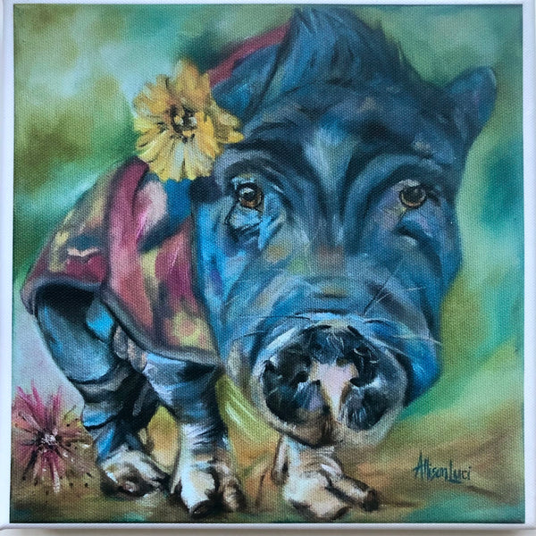 Piggie Portrait Grandma Lucy Canvas Print 8” x 8”