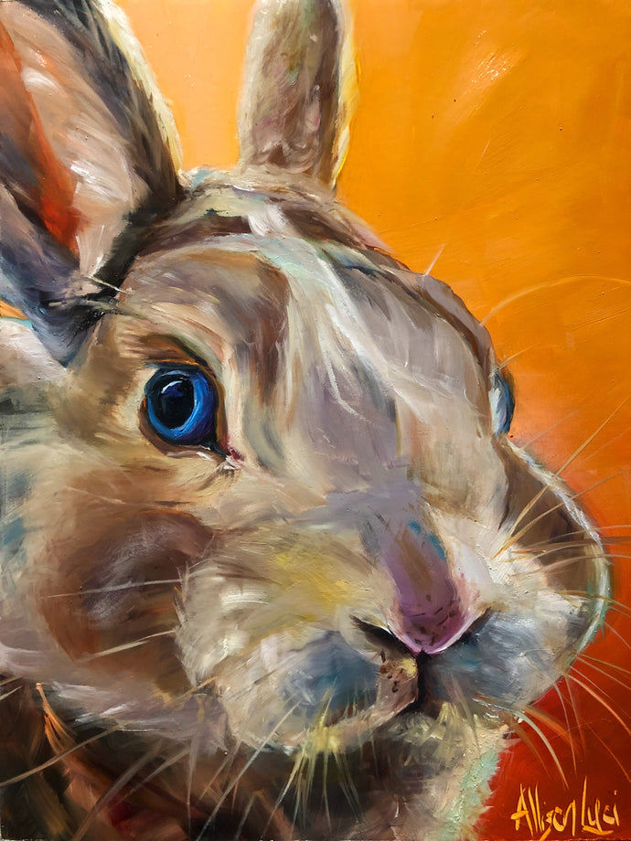 Bunny Portrait Original Oil Painting 8” x 10”