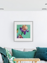 Load image into Gallery viewer, Discovered Treasure Iris Flower Giclee Paper Print Allison Luci Art
