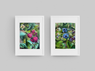 Blueberries & Raspberries ART SET of 2 Paper Prints