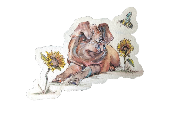 Jolene - Pig Art Sticker with Sunflowers